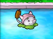 植物大战僵尸第23关怎么过2