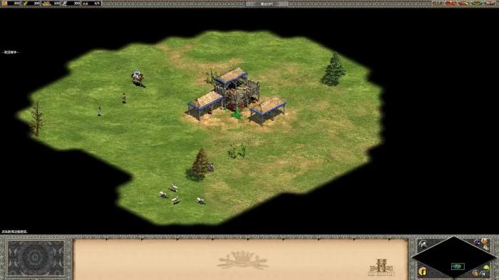 帝国时代2击败波兰怎么玩1