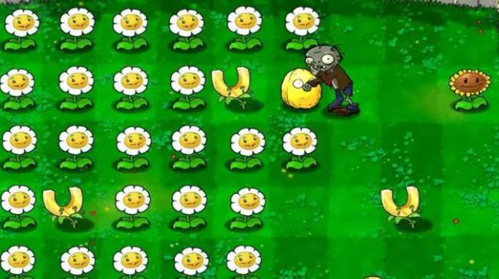 植物大战僵尸梯子怎么搭建1