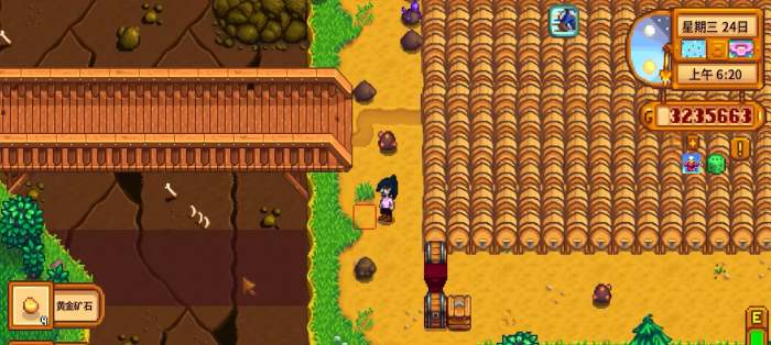 星露谷物语神秘矿石在哪里2