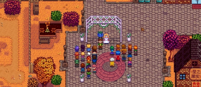 星露谷物语老婆有什么用3