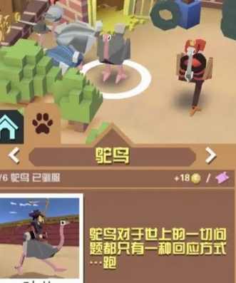 疯狂动物园最好的宠物是哪些1