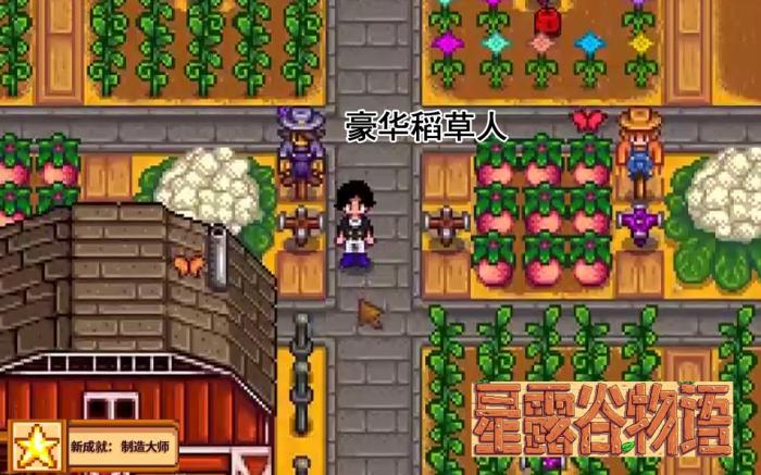 星露谷物语8个珍奇稻草人在哪里1
