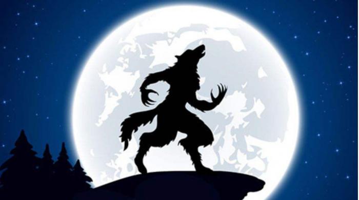 狼人杀发言方法1