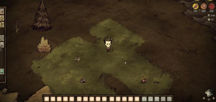 饥荒联机版前几天该做什么1