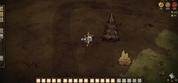 饥荒联机版前几天该做什么2