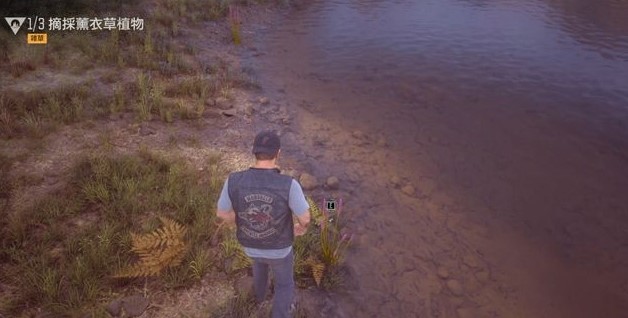 往日不再求助任务流程是什么1