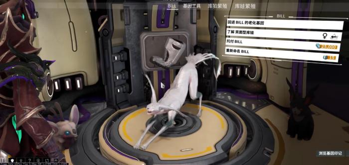 星际战甲如何获得一只库娃3