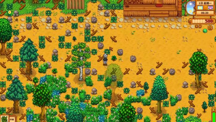 星露谷物语SvE边境农场有哪些特殊区域2