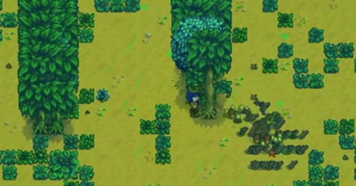 星露谷物语苔雨树有什么作用2