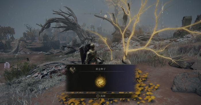 艾尔登法环是什么流程1