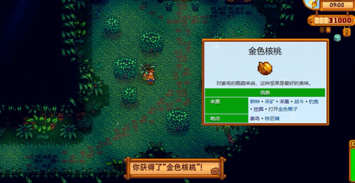 星露谷物语姜岛怎么去南岛1