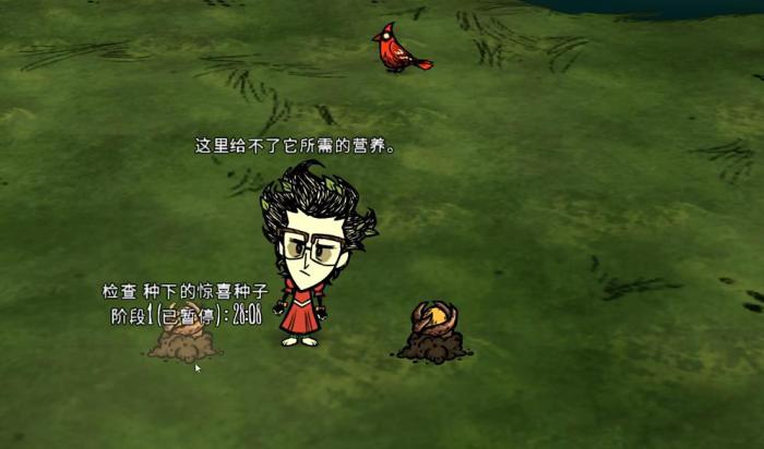 饥荒惊喜种子有什么用1