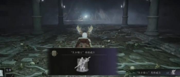 艾尔登法环蒙流地下墓地有哪些物品收集2