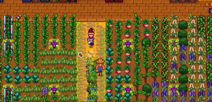 星露谷物语SvE黄瓜有哪些特性1