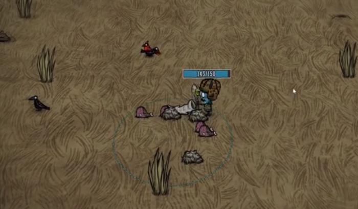 饥荒联机版怎么找皮弗娄牛2