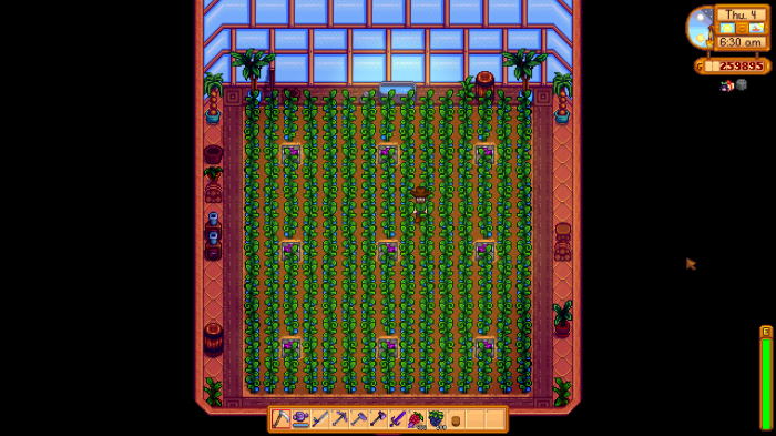 星露谷物语温室空间如何利用2