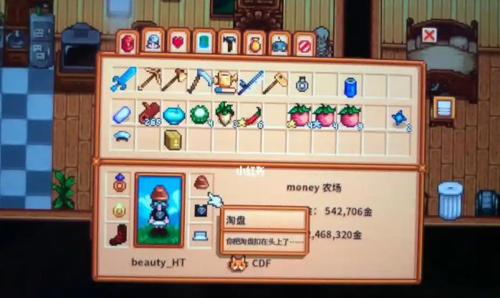 星露谷物语淘盘有什么作用2