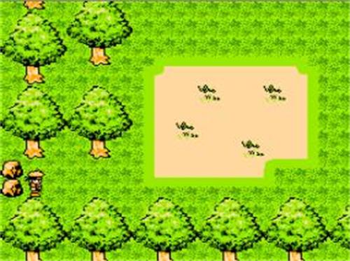 火影忍者手游金鸣抽卡技巧与金币消耗分析1