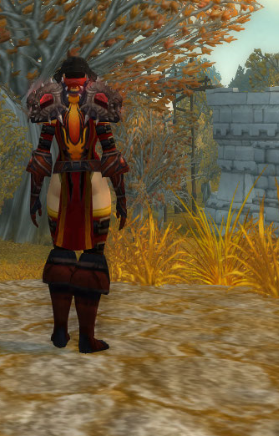 魔兽世界人类女盗贼梵妮莎的幻化造型全展示4