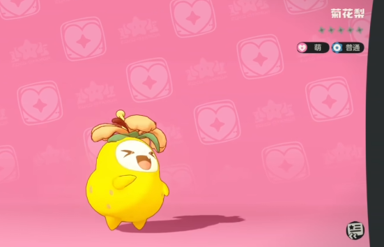 洛克王国菊花梨配招攻略1