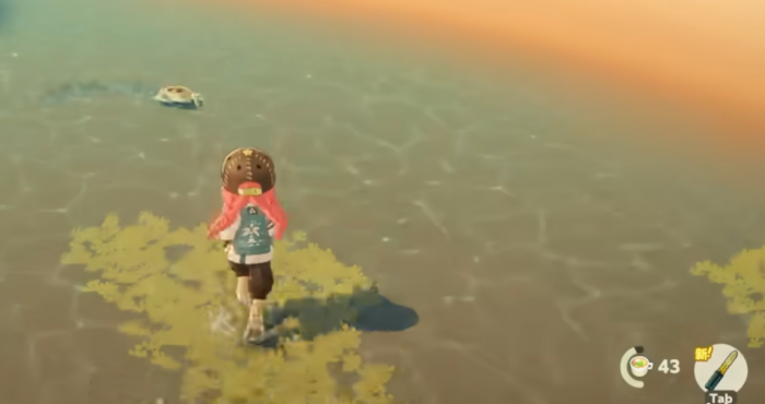 星布谷地螃蟹在哪1