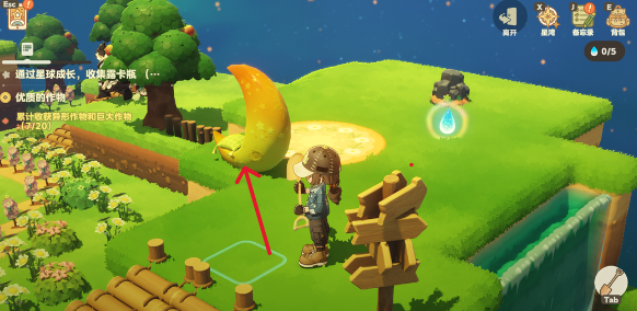 星布谷地徘徊螳螂捕捉技巧4