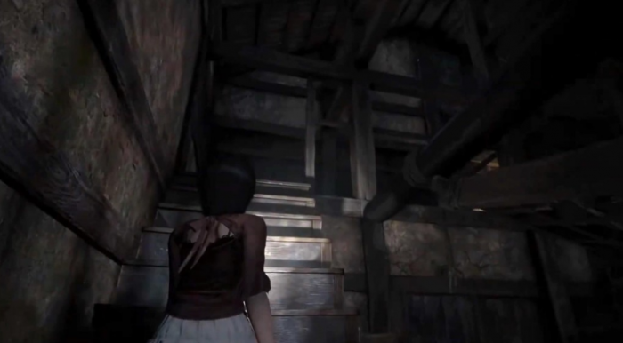 零红蝶重制版配置要求曝光1