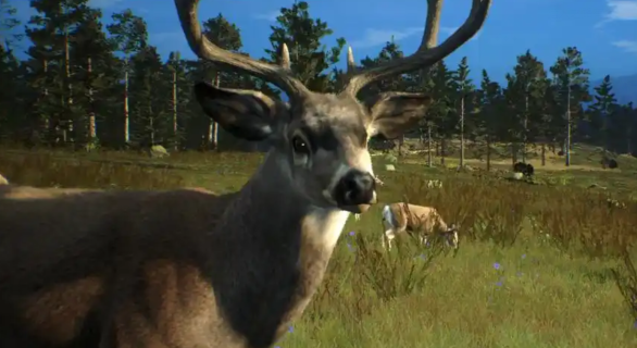 猎人之路有哪些动物1