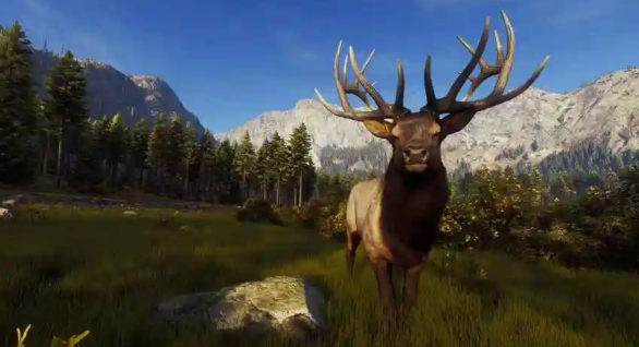 猎人之路白尾鹿位置全解析1