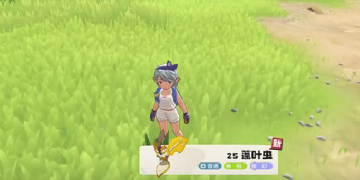 洛克王国世界蓬叶虫获取方法1