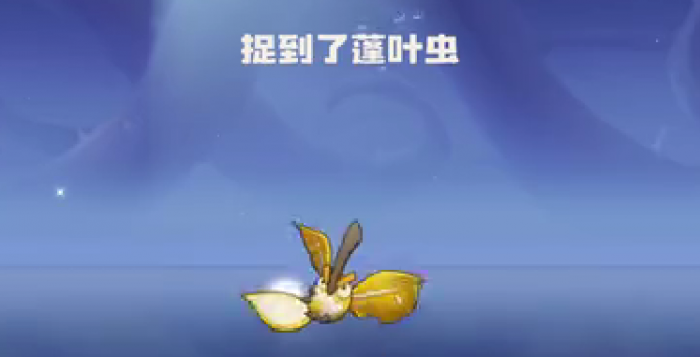 洛克王国世界蓬叶虫获取方法4