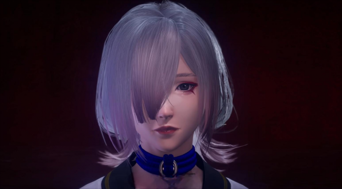 忍者龙剑传4进不去怎么办1