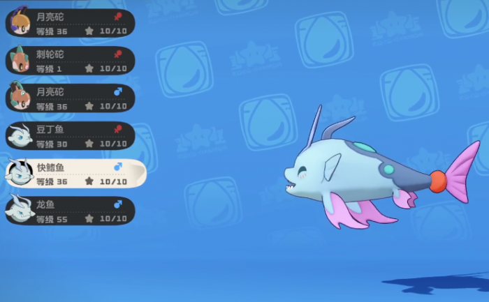 洛克王国世界快鳍鱼图鉴2