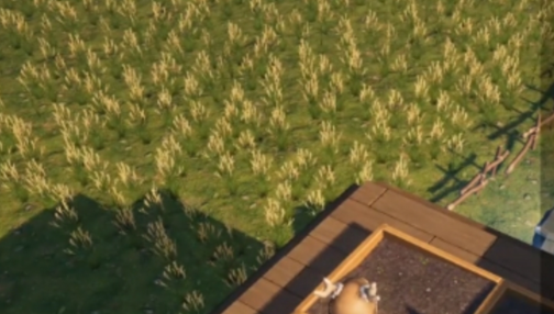 荒原曙光防腐棉种植全攻略5