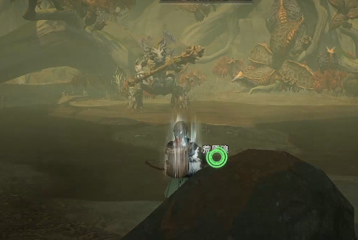 荒原曙光树精核心获取攻略4