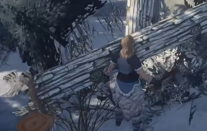 荒原曙光莎镇全貌解析5