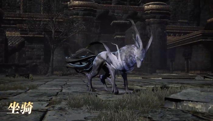 零度曙光飞行坐骑全解析2