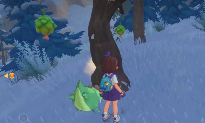 洛克王国世界经验获取全攻略2