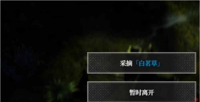 地下城堡4白茗草获取攻略4