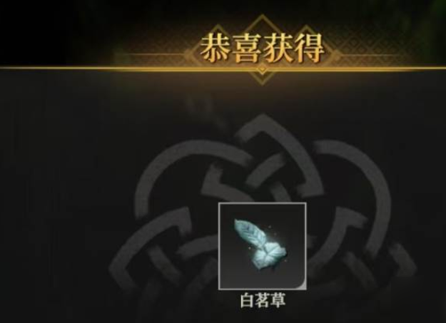 地下城堡4白茗草获取攻略5