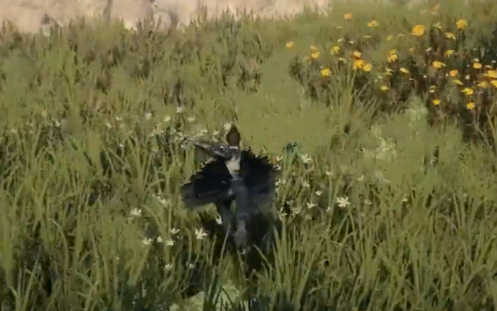 下一站江湖2澄心湖全攻略1