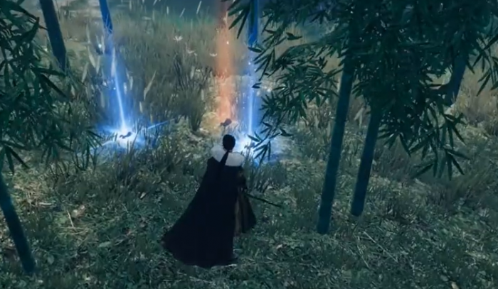 下一站江湖2荒漠之花任务攻略1