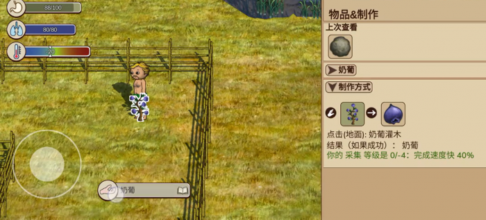 村落人生游戏类型介绍2