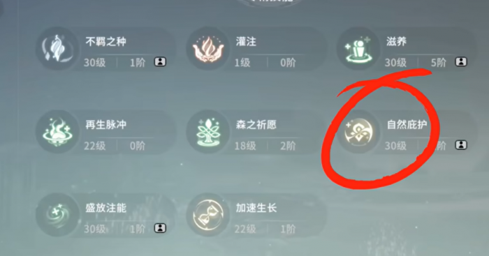 星痕共鸣愈合奶攻略5