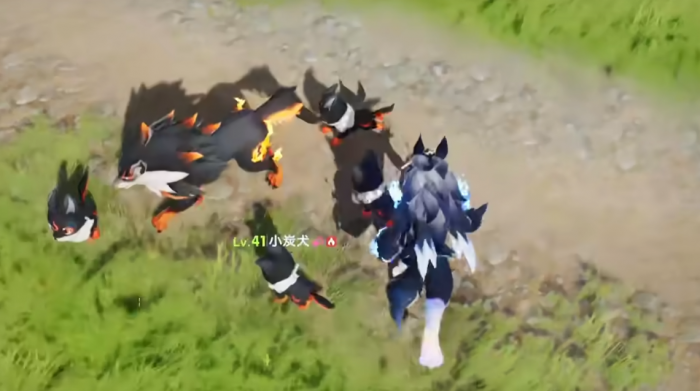 伊莫闪光怎么刷5