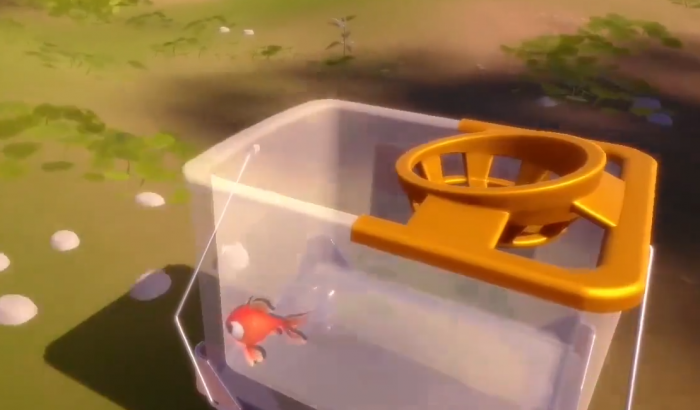 我是小鱼儿面包全收集攻略5