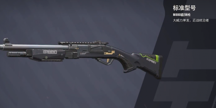 远光84霰弹枪哪些厉害3