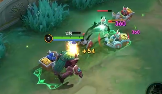 决胜巅峰古树介绍1