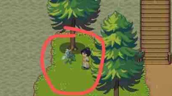 江城创业记提灯胡兰在哪3